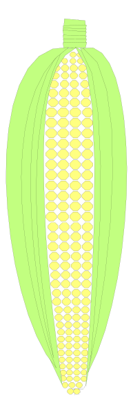 The image shows a green pepper with many seeds inside it against a black background.