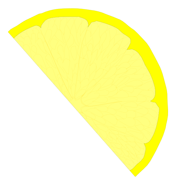 The image shows a slice of lemon with seeds on it against two different backgrounds: black for half of the fruit and yellow for the other side.