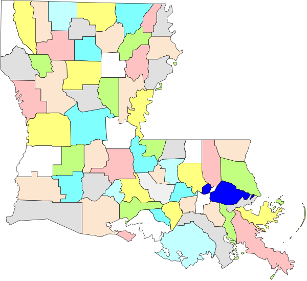 The map shows a state with counties marked by different colored shapes within it; there is no text present on this image to provide additional information about its content.