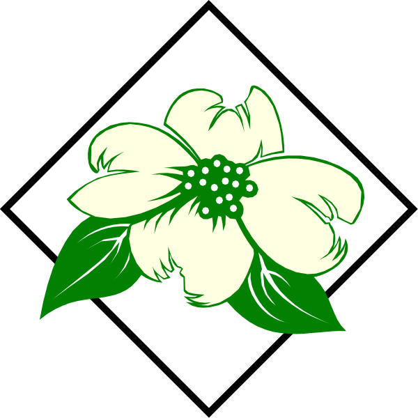 The image shows a white flower with green leaves on it inside of an outlined diamond shape against a black background.