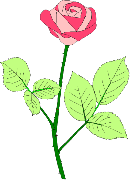 The image shows a single red rose with green leaves attached to it on what appears to be a stem against a dark background.