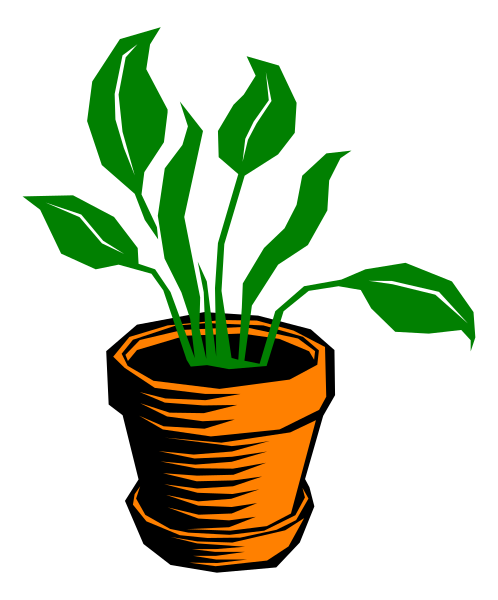 The image shows a stylized illustration of an orange pot with green leaves inside it on top of what appears to be a black surface.