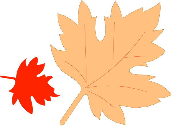 The image shows a red maple leaf with an orange outline on top of it against a black background.