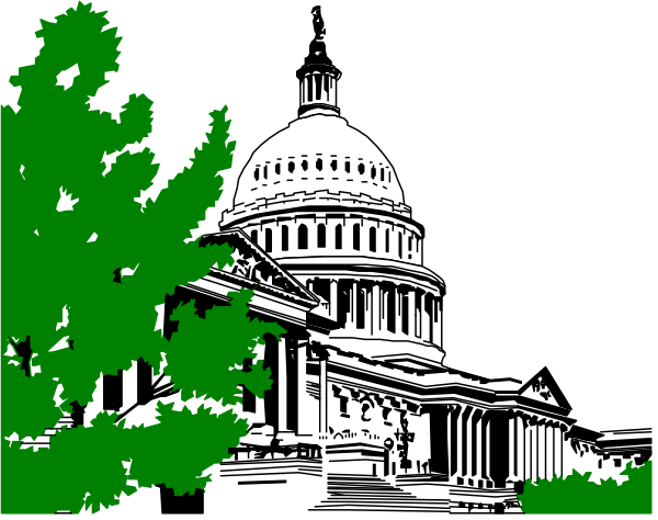 The image shows a black and white illustration of an American flag with trees on either side framing it against a dark background; in front is silhouette of the United States Capitol building under what appears to be night sky, suggesting that this could represent Washington D.C., USA.