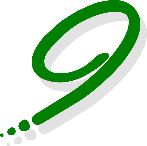 The logo of a company with green and white color scheme featuring an abstract design resembling a stylized letter 'S' in black on top right corner against dark background.