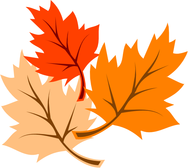 The image shows a collection of autumn leaves with varying shades of orange and yellow on them against a black background.