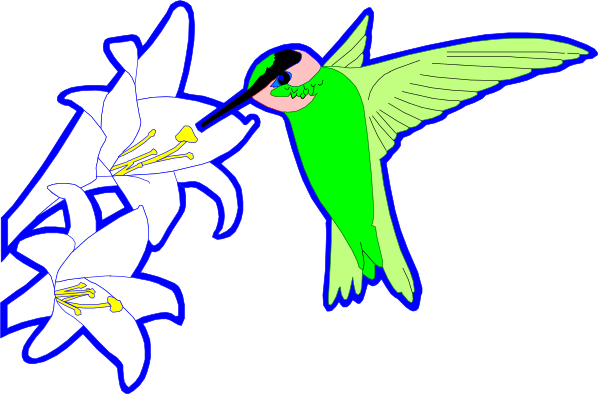 The image features a green parrot perched on white flowers with yellow centers next to an orange flower with pink edges; there is no text present in this clip-art illustration.