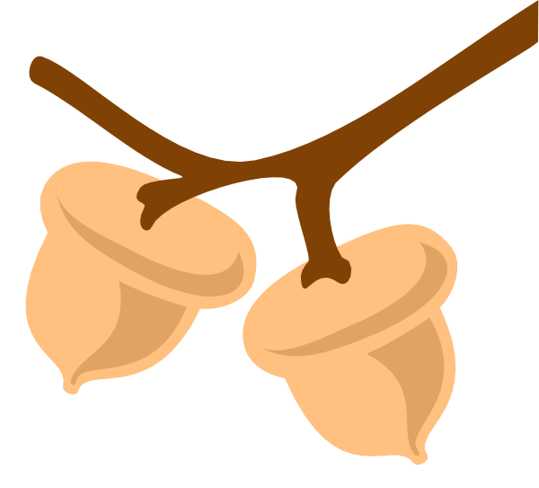 The image shows a branch with three peanuts hanging from it against a black background.