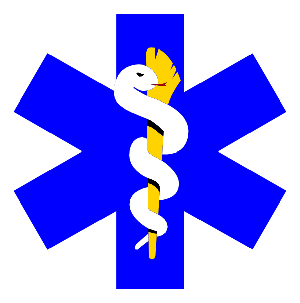 The image shows a stylized graphic of an ambulance with its doors open against a blue background on the left side; in the center is a snake wrapped around a staff that resembles a medical cross, and to the right there's another symbol or emblem featuring what appears to be a shield.
