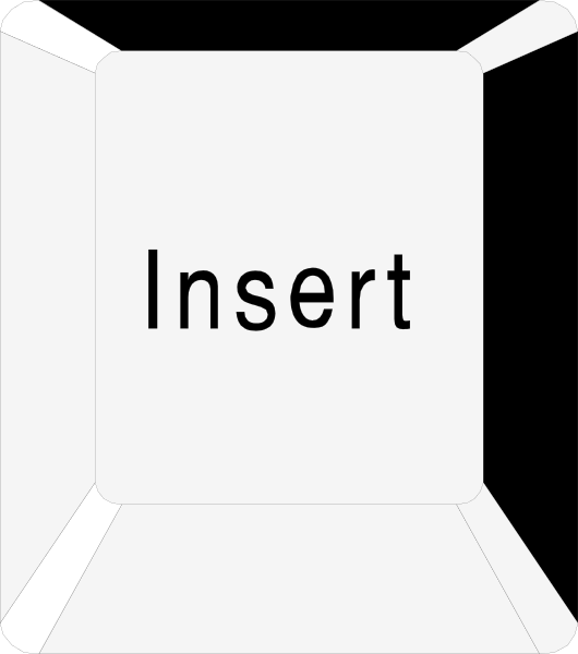 The image shows a computer screen with an open document that has "Insert" written on it against a white background.