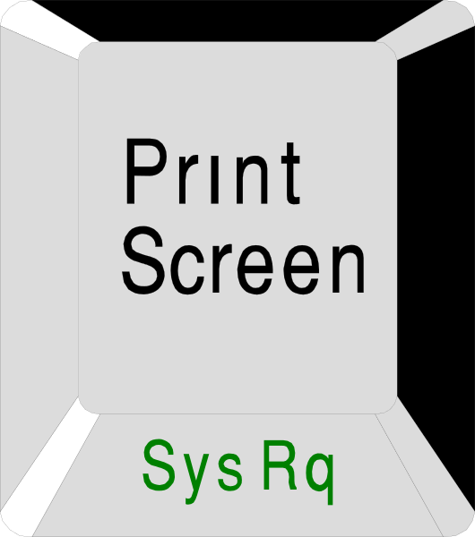 The image shows a computer screen with text that reads "Print Screen" on it against a white background.