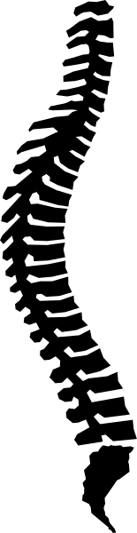 The image shows a black line with white stripes on it against an indistinct background.