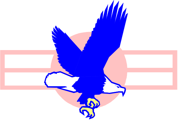 The image shows a stylized eagle with an American flag background on what appears to be a digital display screen.