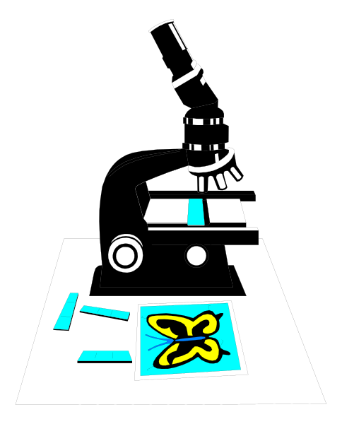 The image shows a microscope with an open drawer on top of it displaying two butterflies against a black background.