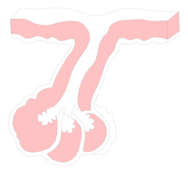 The image shows a cartoon of an upside down pink elephant with its trunk extended towards two black circles that resemble eyes on either side at the bottom center part of the picture.