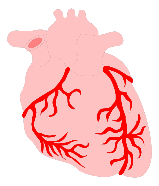 The image shows a stylized illustration of an open human heart with red veins against a black background.