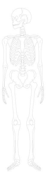 The black and white silhouette of a skeleton standing upright with its arms outstretched against a dark background.