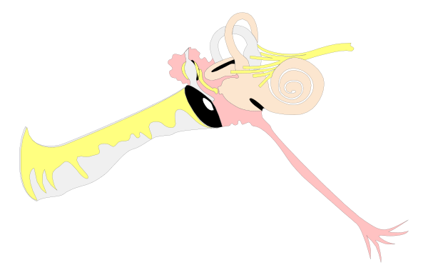 The image shows a cartoon of an octopus with tentacles reaching out towards something on its right side that is partially obscured by the frame; it appears to be in motion against a black background.