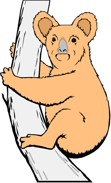 The image shows a cartoon koala holding onto an open book with its arms while standing on top of it as if peeking out from between pages.