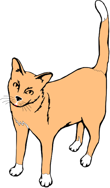 The image shows a cartoon of an orange cat with white paws standing on its hind legs against a black background.