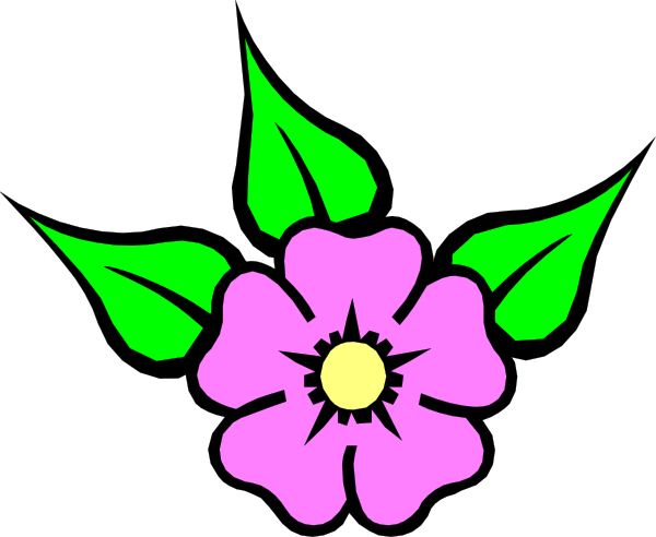 The image shows a purple flower with green leaves on it against a black background.