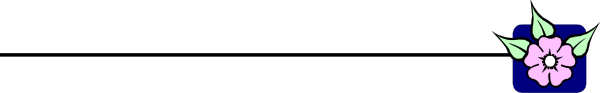 The image shows a gray background with two pink flowers on it; there's no text present.