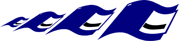 The image shows a blue flag with white text on it being waved by an unseen person at what appears to be a sports event in front of spectators who cannot be seen due to their blurred out faces, set against a gray background that suggests stadium seating or bleachers.