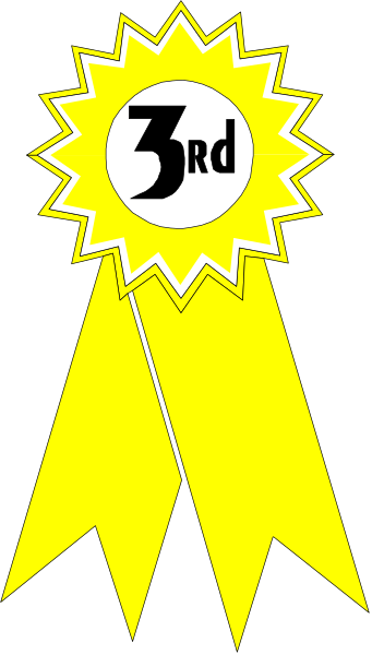 The image shows a stylized graphic of an award ribbon with text that reads "3rd" at its top right corner on a yellow background inside what appears to be a black border.