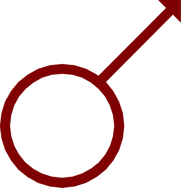 The image shows a red circle with two lines intersecting at right angles to form an X shape inside it, positioned on top of another symbol that resembles a gender icon (a male figure).