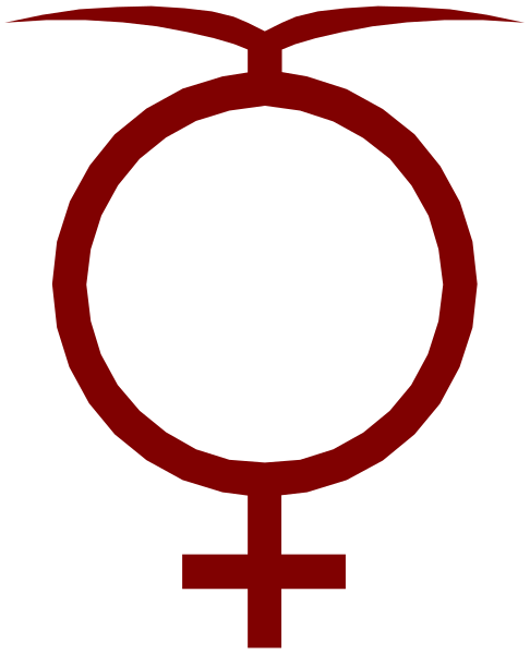 The image shows a red circle with an icon inside it that resembles female genitalia, placed within another larger black square containing what appears to be a stylized letter 'V' in white on top of two vertical lines forming a cross-like shape at its center; the background is gray.