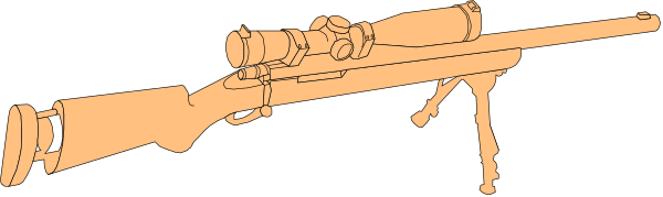 The image shows a rifle with an attached scope on top of it against a plain background.