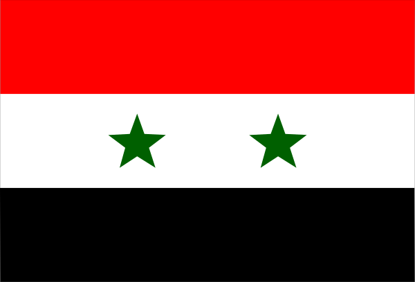 The image shows a black flag with three white stars on it against a gray background.