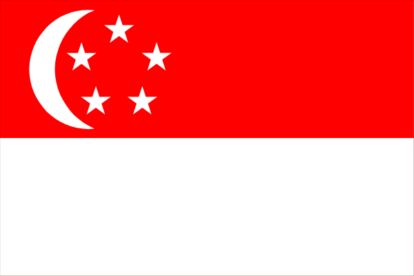 The image shows a black rectangle with red borders on top of it against a gray background.