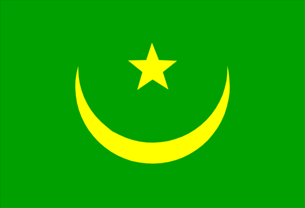 The flag of Afghanistan with a crescent moon on it displayed against a dark background.