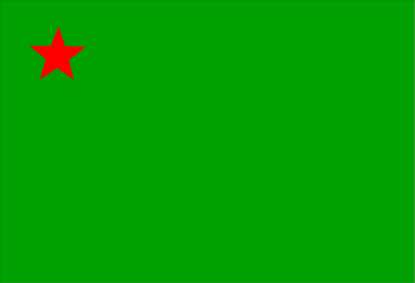 The image shows a black flag with red stars on it against a gray background.