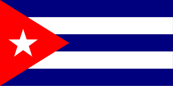 The image shows a black flag with white stars on it against an indistinct background.