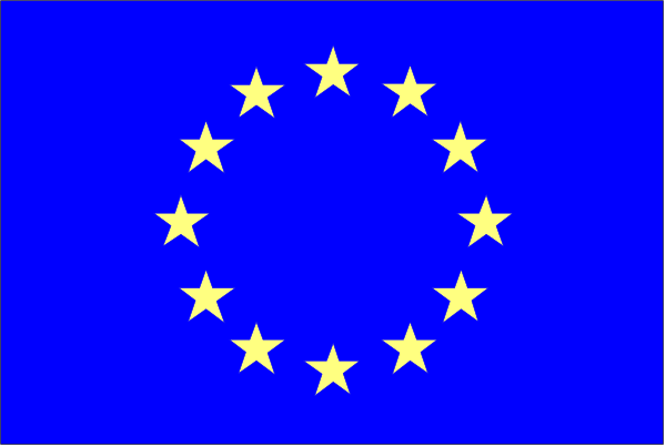 The flag of Europe with a starry night sky background.