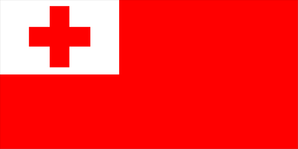 The image shows a pixelated representation of an emergency cross symbol on top left corner against black background with red border around it.