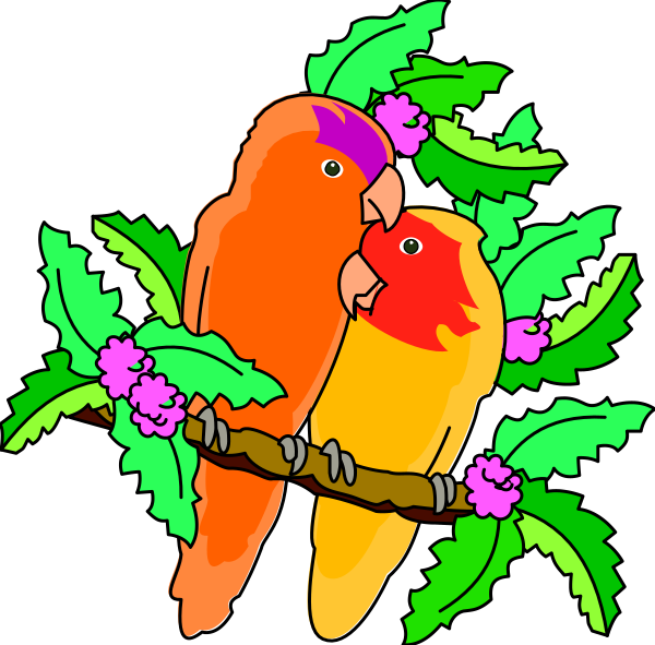 The image shows a colorful parrot perched on top of green leaves with red flowers peeking through them against a black background.