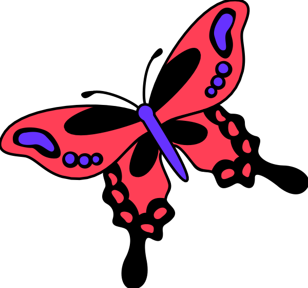 The image shows a colorful butterfly with purple spots on its wings against a black background.