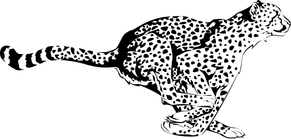The black and white photo shows a cheetah with spots standing on its hind legs next to an animal that appears to be either lying down or sitting in front of it; both creatures have their heads turned towards each other, suggesting interaction between them within what looks like a natural habitat setting.