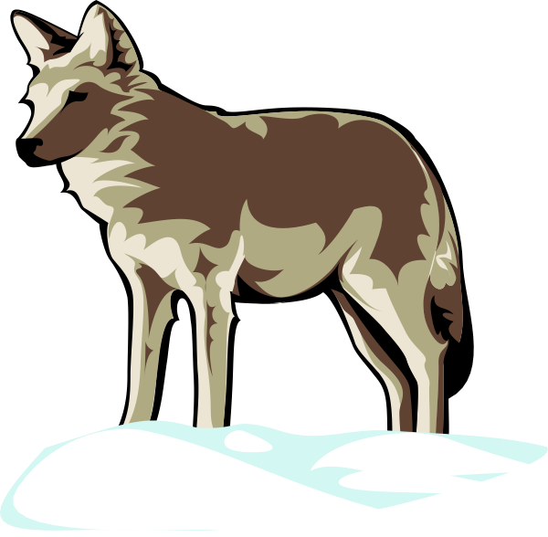The image shows a stylized wolf standing on snow with its head turned to look at something offscreen.