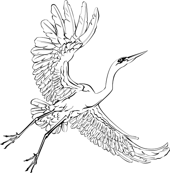 The image shows a black square with two white lines intersecting at right angles within it.