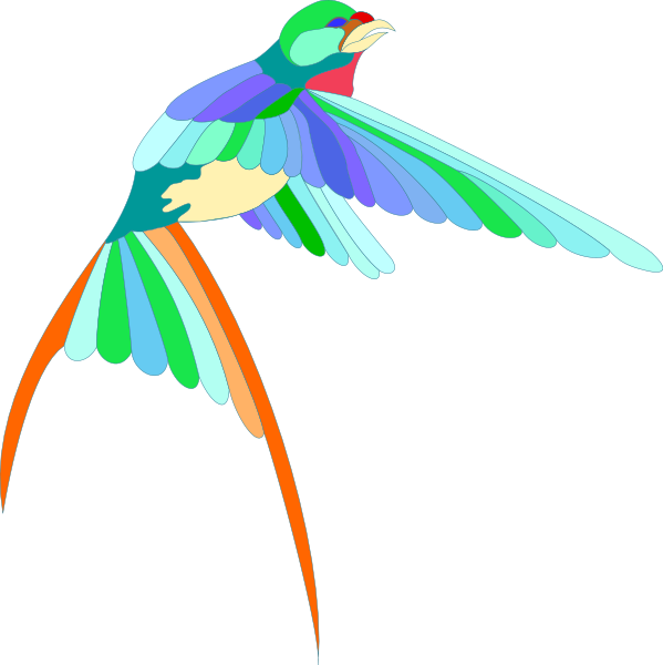 The image shows a colorful parrot with an extended wing flying against a black background.