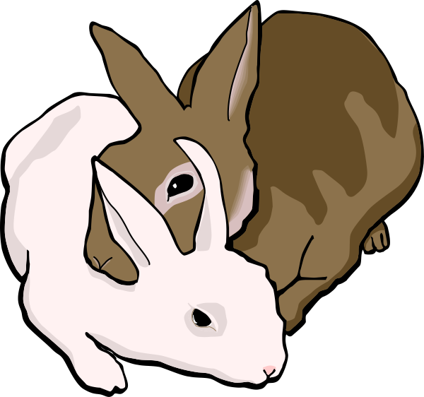 The illustration shows two rabbits: a white bunny with pink ears is lying down next to an orange-brown one that appears to be sleeping on top of it; both have long furry tails and large, expressive eyes.