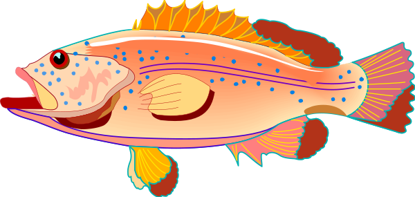 The image shows a colorful fish with yellow fins swimming underwater next to an orange coral reef.