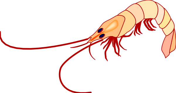 The image shows a cartoon shrimp with red antennae swimming towards an open pink shell on what appears to be sandy ground in front of it.