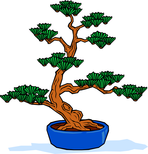 The image shows a bonsai tree with green leaves inside of two pots: an orange pot on top and a blue one at bottom; both plants have brown trunks and roots extending from them into water, suggesting growth in soil not visible within frame.