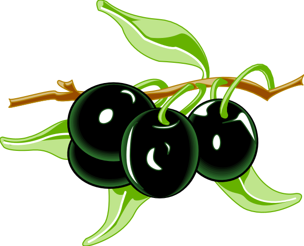The image shows a bunch of green cherries hanging from branches with leaves on them against a black background.