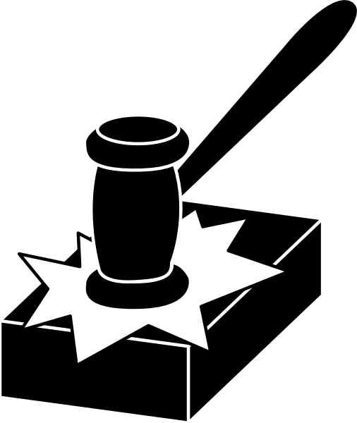 The black and white illustration shows a gavel on top of an open book with pages fanned out around it.